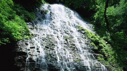 高性能高标准全自动